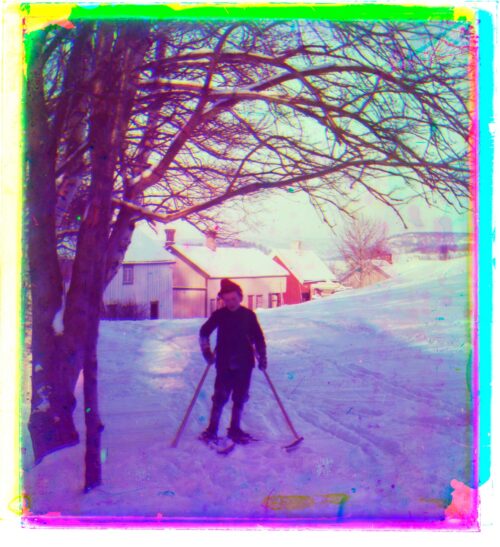 ski | gutt | snø | tre