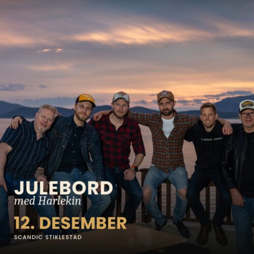 harlekin-julebord-kvadratisk (1)
