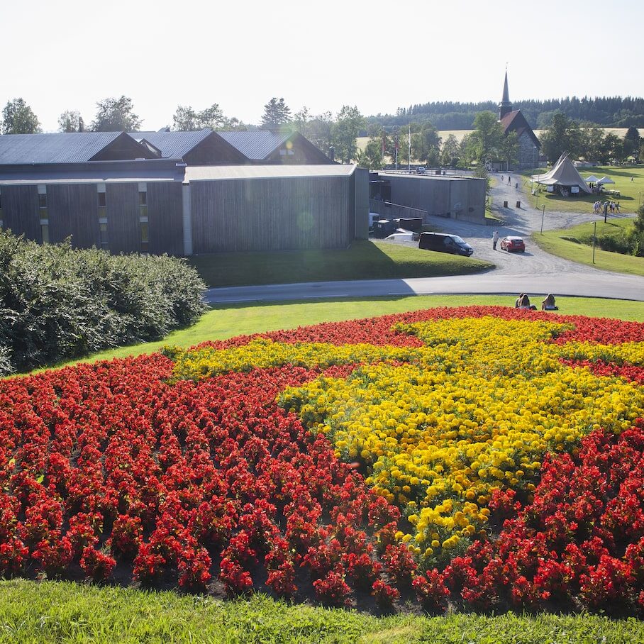 Stiklestad - Blomster Blomsterkors av 5500 gule og røde blomster
